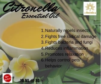 Citronella Essential Oil 10 ml